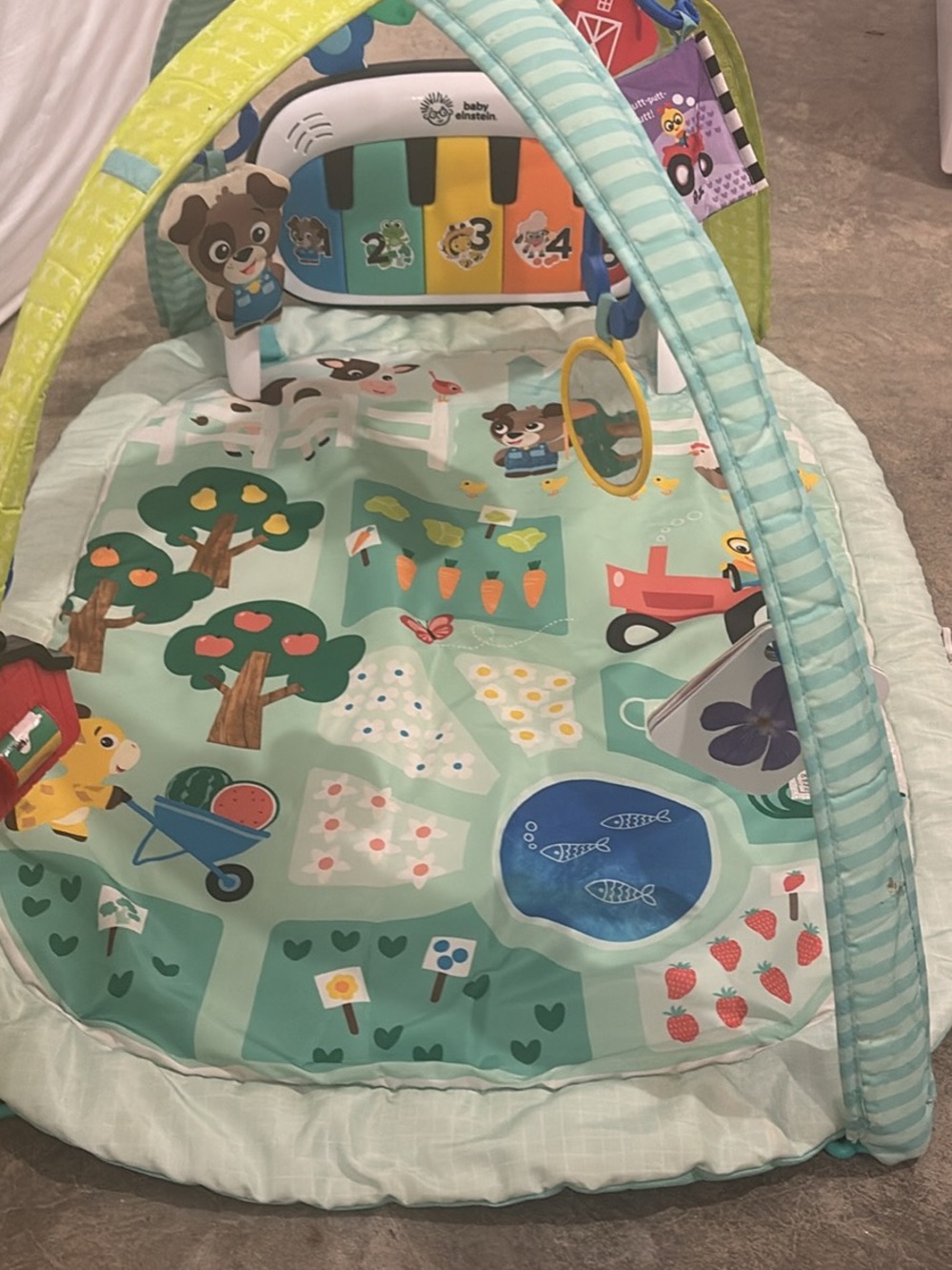 Baby Activity Play Gym with Musical Piano - Mint Green